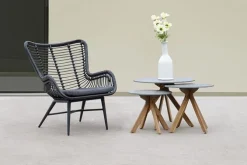 Butterfly' Loungestoel inclusief zitkussen