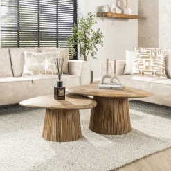 Eleo salontafel set van 2