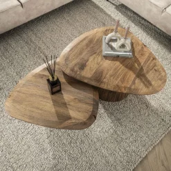 Eleo salontafel set van 2