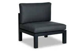 Pallizi Tussenelement