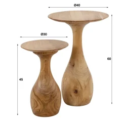 Pins Salontafel set van 2