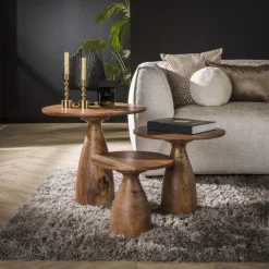 Pins Salontafel set van 3