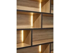 Samuel Wandkast inclusief LED verlichting