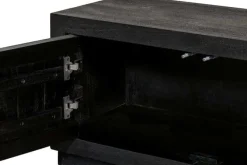 Strong TV kast 2 deuren, 2 lades