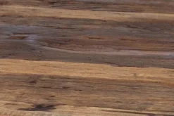 Vedic Eettafel Recht